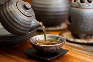 老茶客經驗談 50元與500元茶葉，到底差在哪里？
