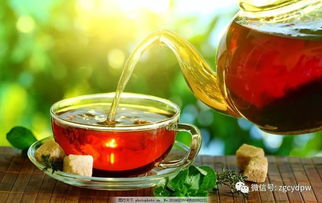 每天飲茶量專業(yè)指南 健康飲茶的科學(xué)建議